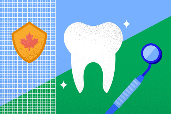 Understanding the canadian dental care plan